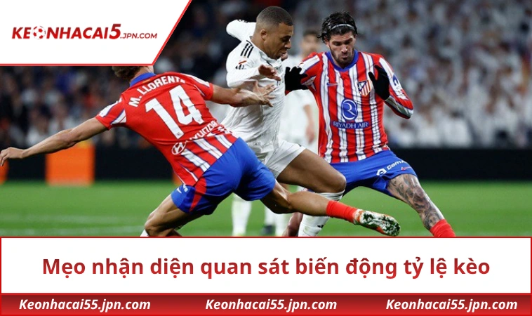 Mẹo nhận diện quan sát biến động tỷ lệ kèo trước trận