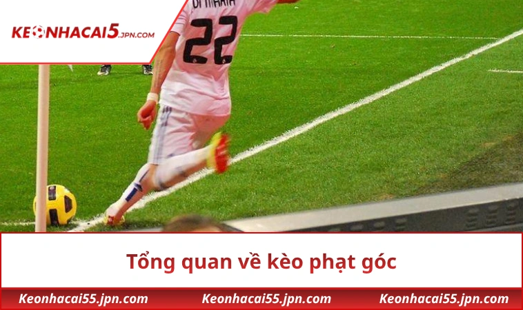 Giới thiệu về tỷ lệ phạt góc