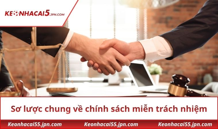 Sơ lược chung về chính sách miễn trách nhiệm