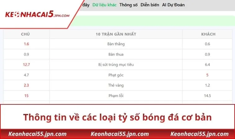 Thông tin về các loại tỷ số bóng đá cơ bản