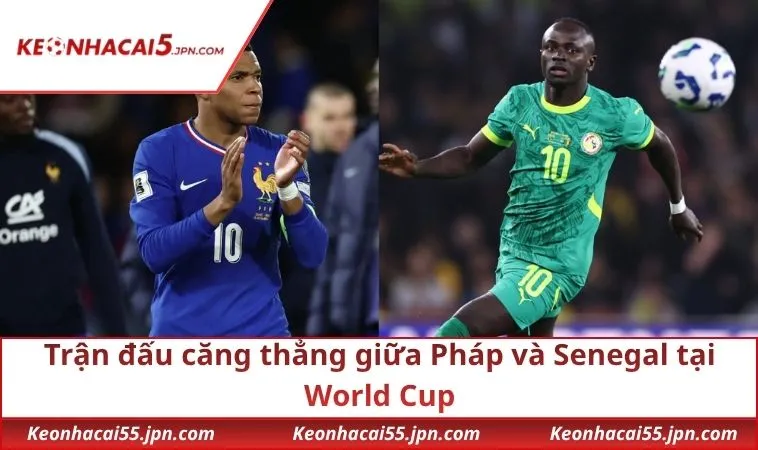Trận đấu căng thẳng giữa Pháp và Senegal tại World Cup