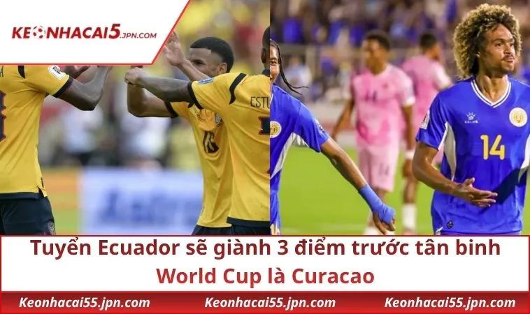 Tuyển Ecuador sẽ giành 3 điểm trước tân binh World Cup là Curacao