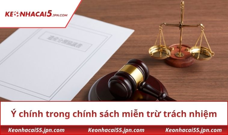 Ý chính trong chính sách miễn trừ trách nhiệm